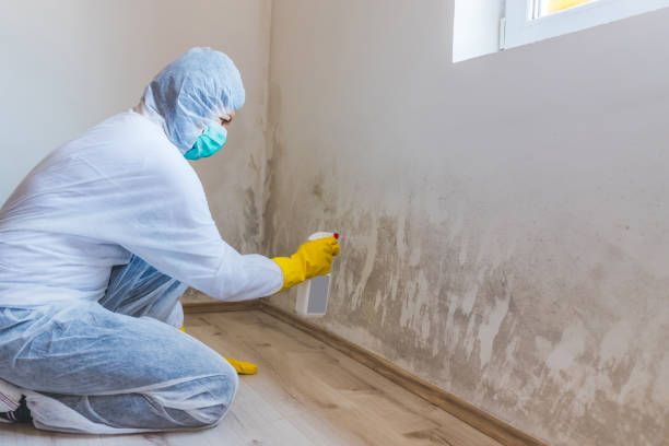 Commercial Mold Remediation assessment for commercial property in Beverly